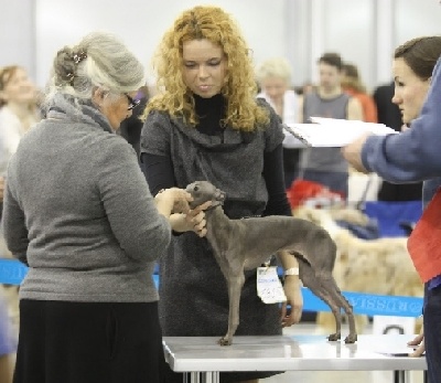Silvento - Eurasia 2011, Moscow