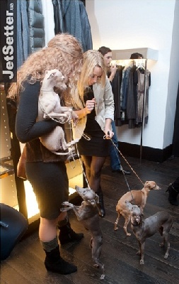 Silvento - Trussardi show